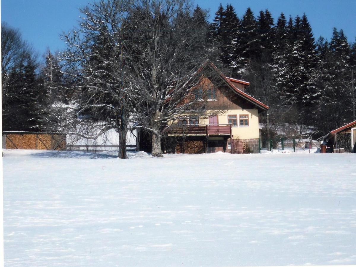 Landhaus Graf Kniebis Kültér fotó